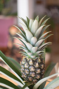Pineapple-003.jpg