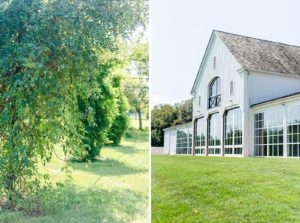 CastleHillCiderWedding-CastleHillCiderWeddingVenue-CastleHillCiderWeddingPhotography-CastleHillCiderWeddingPhotographer-ManaliPhotography-029